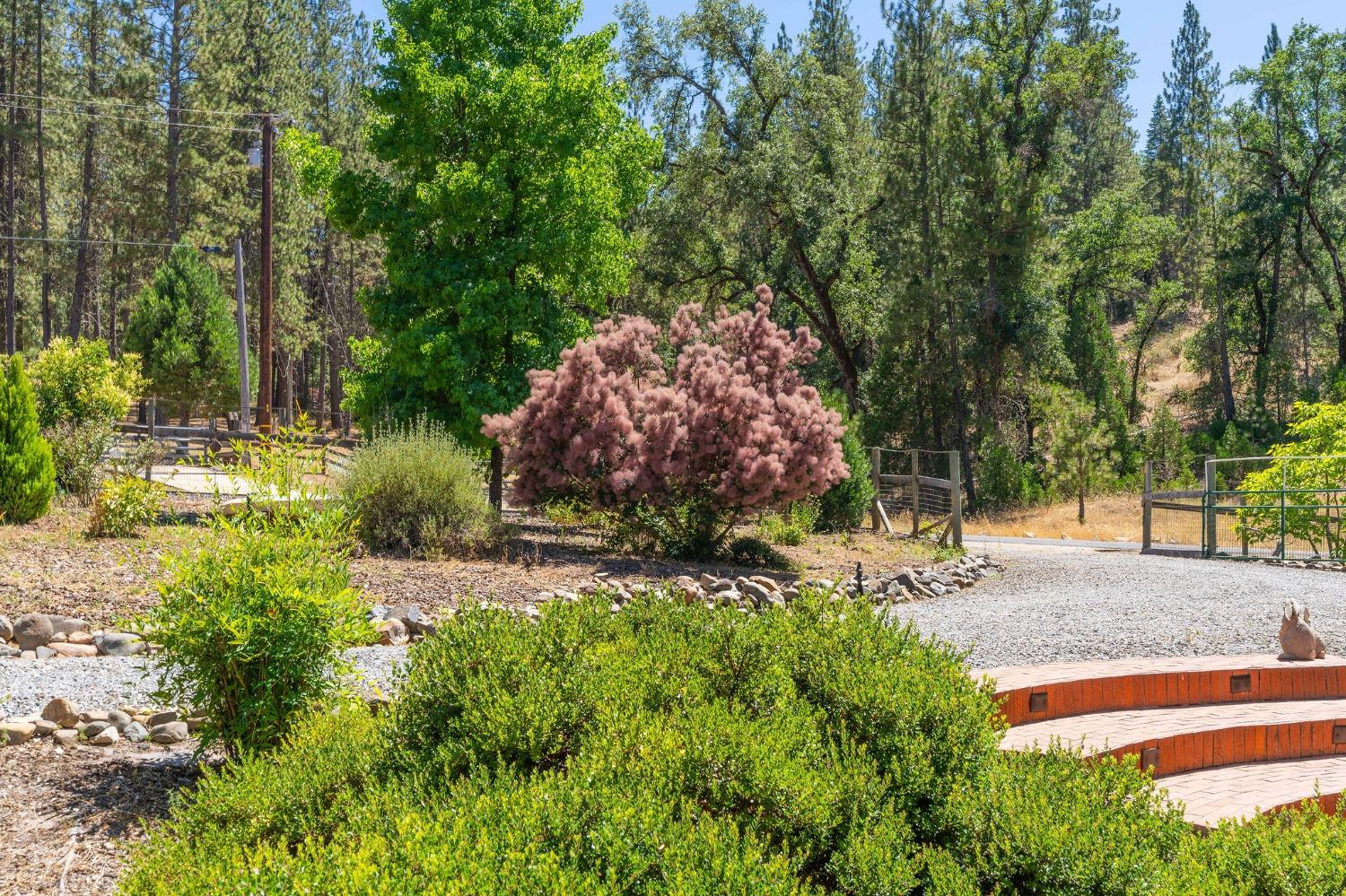 5603 Swiss Ranch Road, Mountain Ranch, California 95246, 3 Bedrooms Bedrooms, ,3 BathroomsBathrooms,Residential,For Sale,Swiss Ranch,202301084