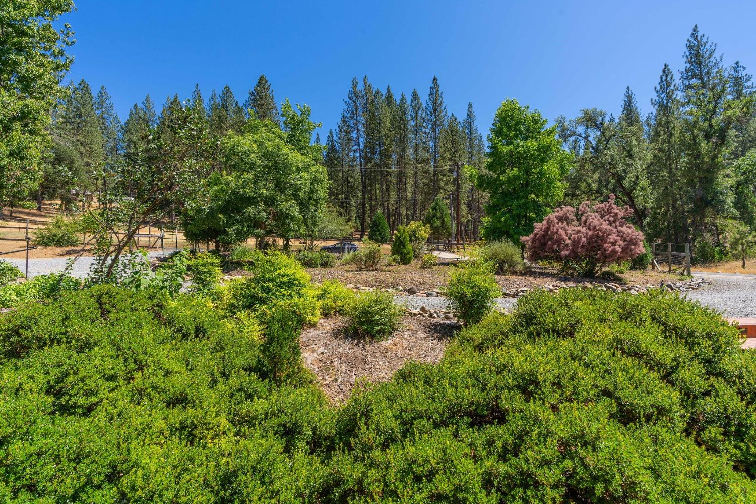 5603 Swiss Ranch Road, Mountain Ranch, California 95246, 3 Bedrooms Bedrooms, ,3 BathroomsBathrooms,Residential,For Sale,Swiss Ranch,202301084