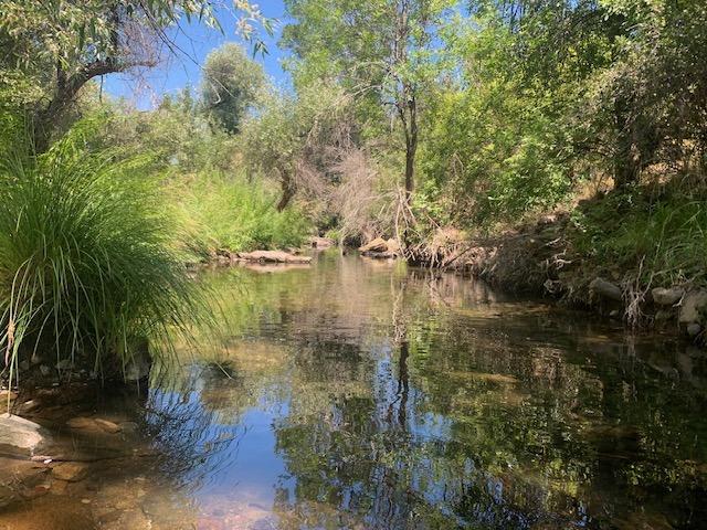 5603 Swiss Ranch Road, Mountain Ranch, California 95246, 3 Bedrooms Bedrooms, ,3 BathroomsBathrooms,Residential,For Sale,Swiss Ranch,202301084