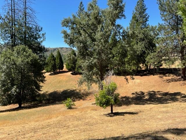 5200 Loma Serena Road, Mountain Ranch, California 95246, 1 Bedroom Bedrooms, ,2 BathroomsBathrooms,Residential,For Sale,Loma Serena,202301053