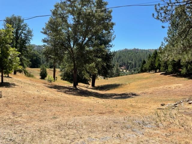 5200 Loma Serena Road, Mountain Ranch, California 95246, 1 Bedroom Bedrooms, ,2 BathroomsBathrooms,Residential,For Sale,Loma Serena,202301053