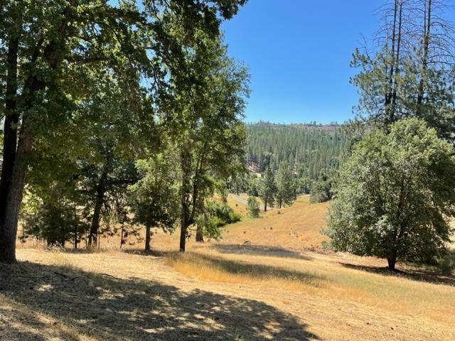 5200 Loma Serena Road, Mountain Ranch, California 95246, 1 Bedroom Bedrooms, ,2 BathroomsBathrooms,Residential,For Sale,Loma Serena,202301053