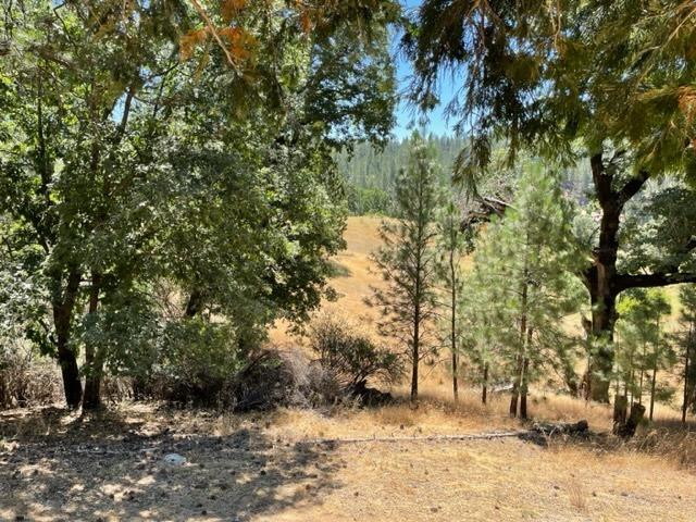 5200 Loma Serena Road, Mountain Ranch, California 95246, 1 Bedroom Bedrooms, ,2 BathroomsBathrooms,Residential,For Sale,Loma Serena,202301053