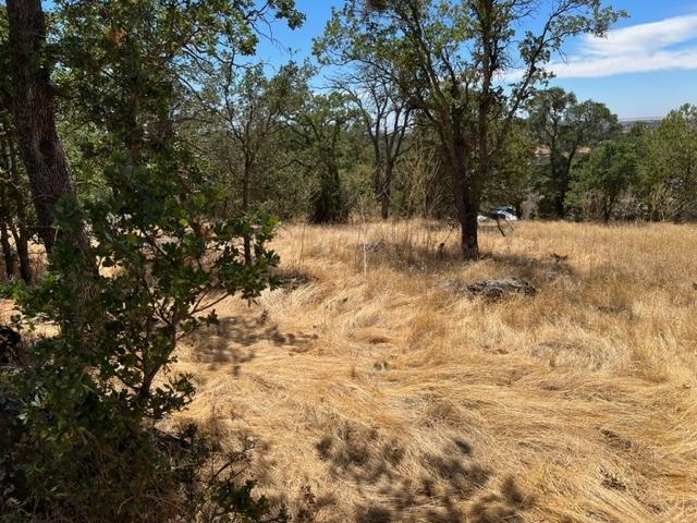 4088 Bartelink Drive, Valley Springs, California 95252, ,Land,For Sale,Bartelink,202301105