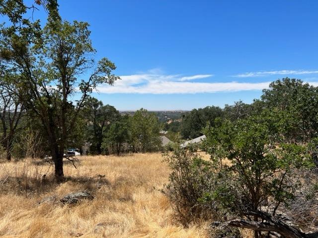 4088 Bartelink Drive, Valley Springs, California 95252, ,Land,For Sale,Bartelink,202301105