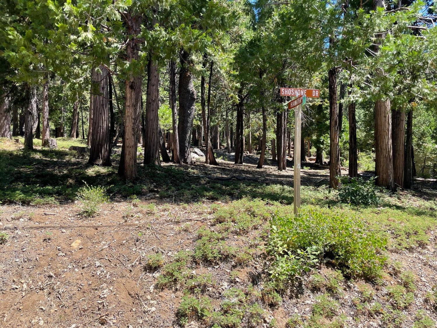 926 Shoshone, Camp Connell, California 95223, ,Land,For Sale,Shoshone,202301115