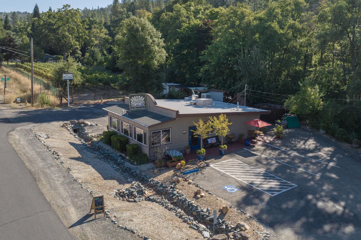 484 W Highway 4 Road, Murphys, California 95247, ,Commercial Sale,For Sale,W Highway 4,202303236