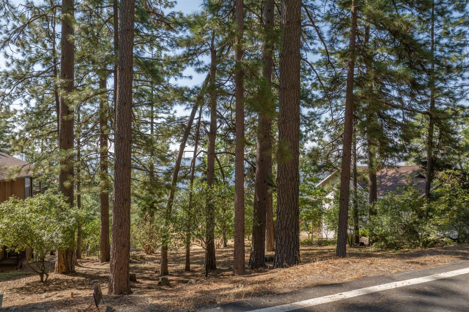 1262 Heather Drive, Murphys, California 95247, ,Land,For Sale,Heather,202301037