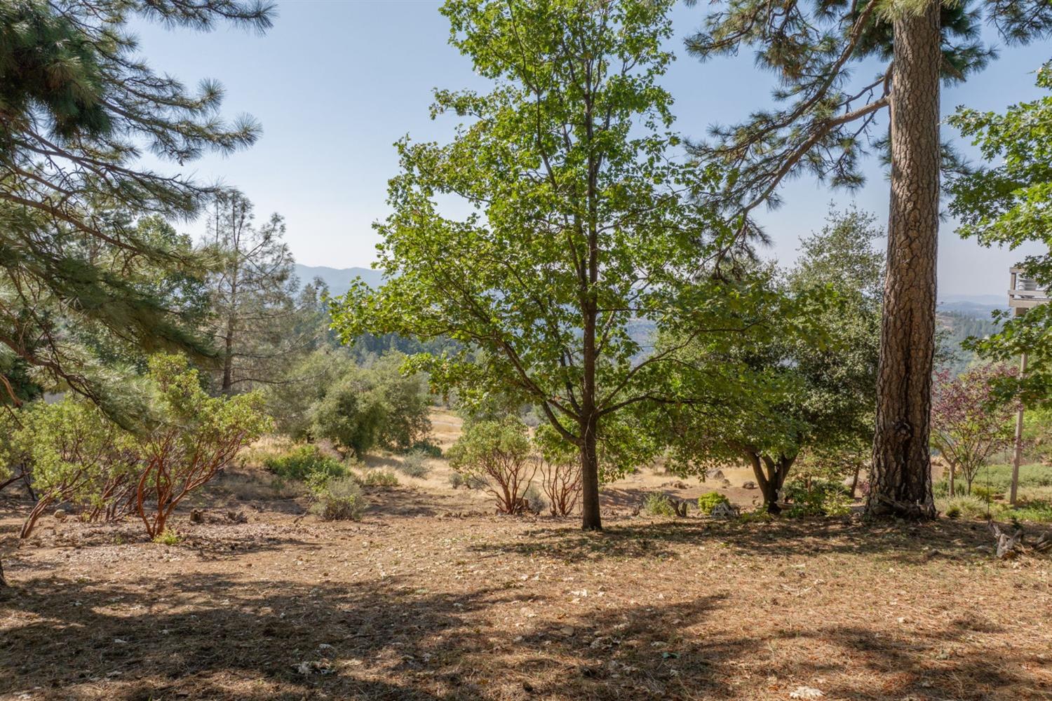 1262 Heather Drive, Murphys, California 95247, ,Land,For Sale,Heather,202301037