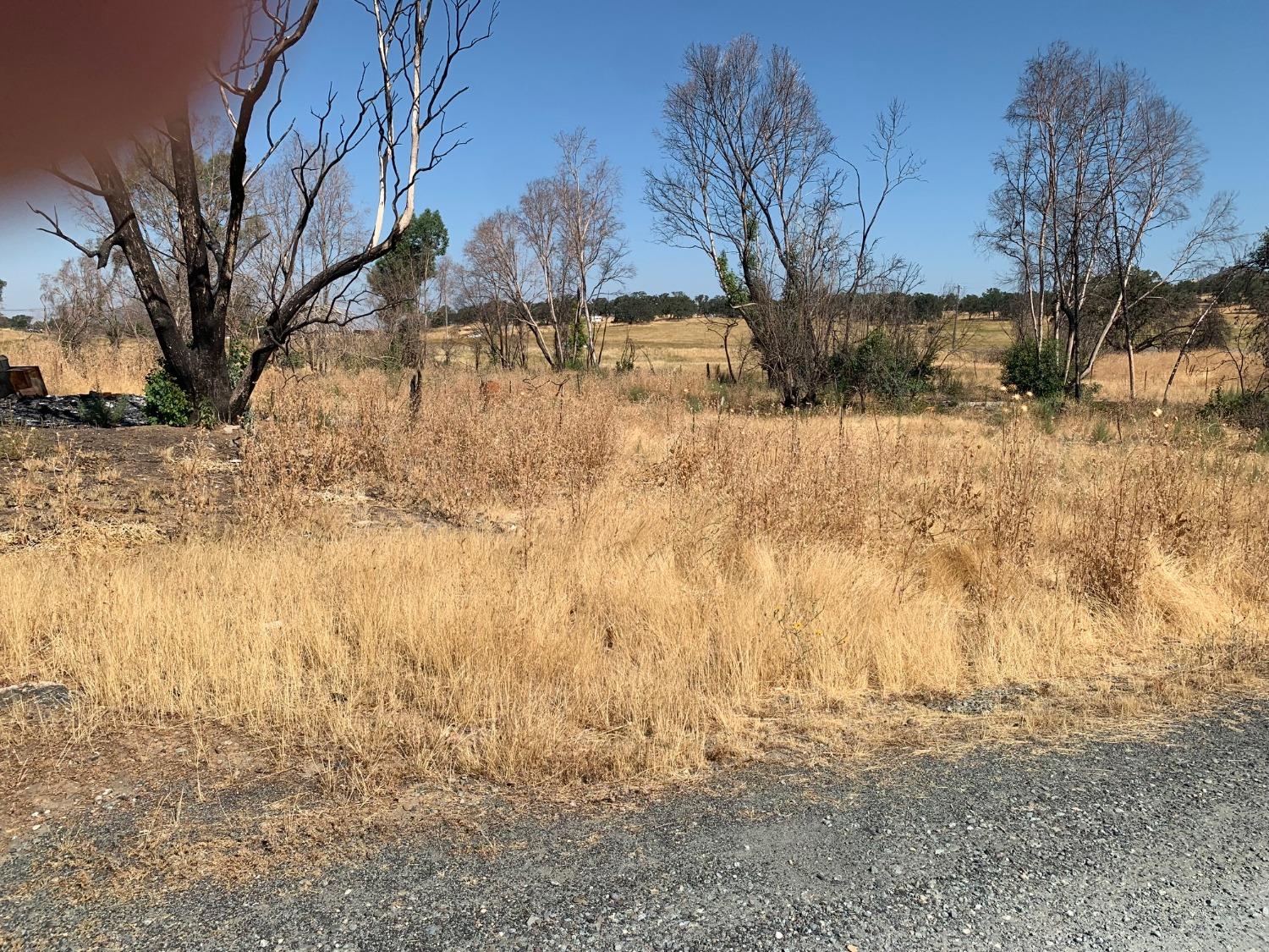 11560 La Grange Road, Jamestown, California 95327, ,Land,For Sale,La Grange,202303151