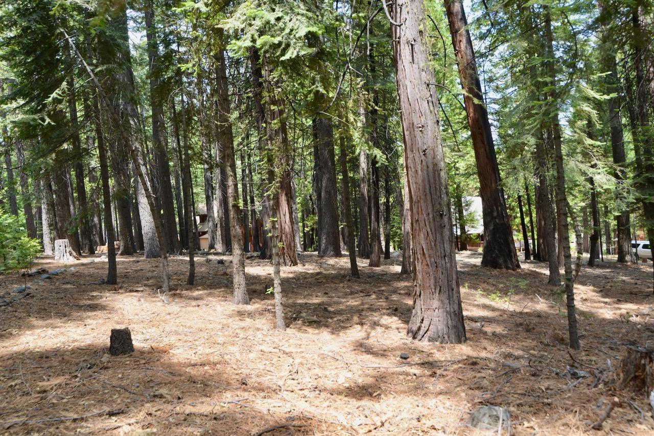 2478 Shoshone Drive, Camp Connell, California 95223, ,Land,For Sale,Shoshone,202303201