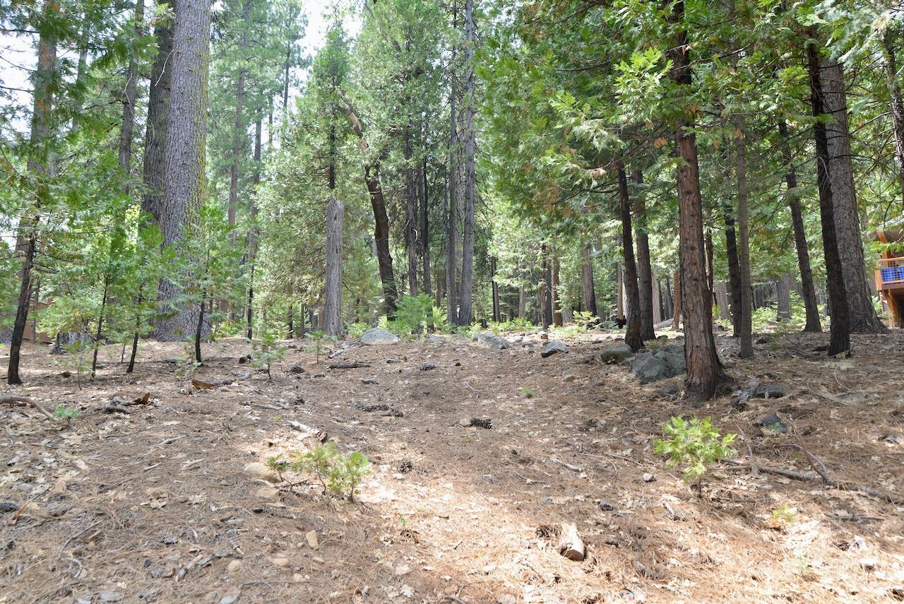 2478 Shoshone Drive, Camp Connell, California 95223, ,Land,For Sale,Shoshone,202303201