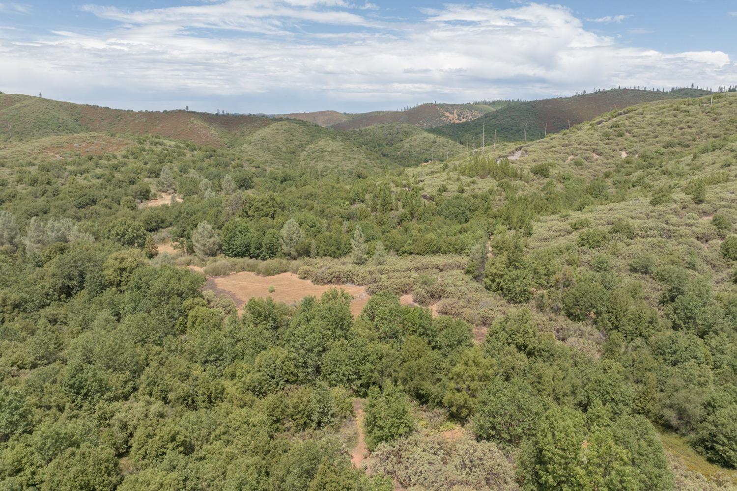 0 Esmeralda, Murphys, California 95247, ,Land,For Sale,Esmeralda,202303206