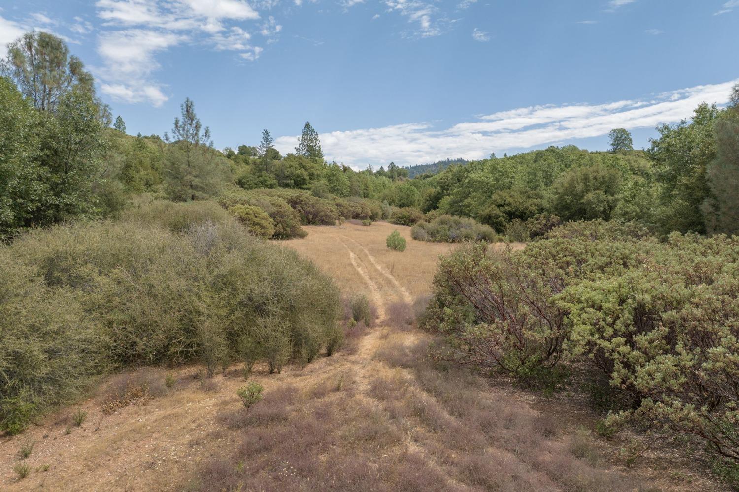 0 Esmeralda, Murphys, California 95247, ,Land,For Sale,Esmeralda,202303206