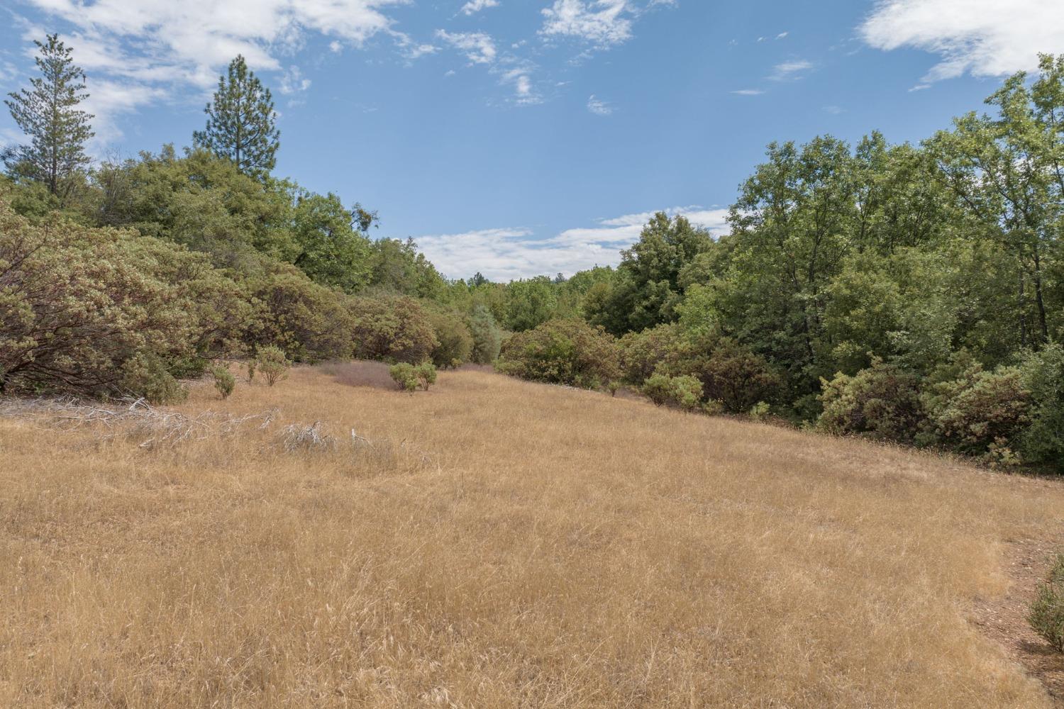 0 Esmeralda, Murphys, California 95247, ,Land,For Sale,Esmeralda,202303206