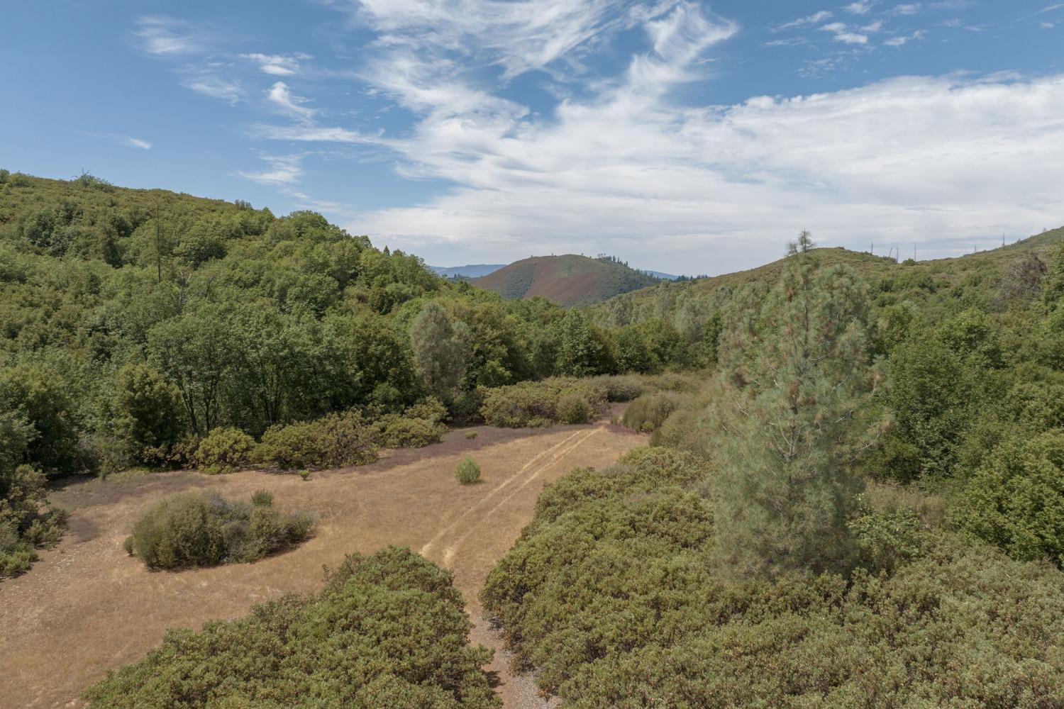 0 Esmeralda, Murphys, California 95247, ,Land,For Sale,Esmeralda,202303206