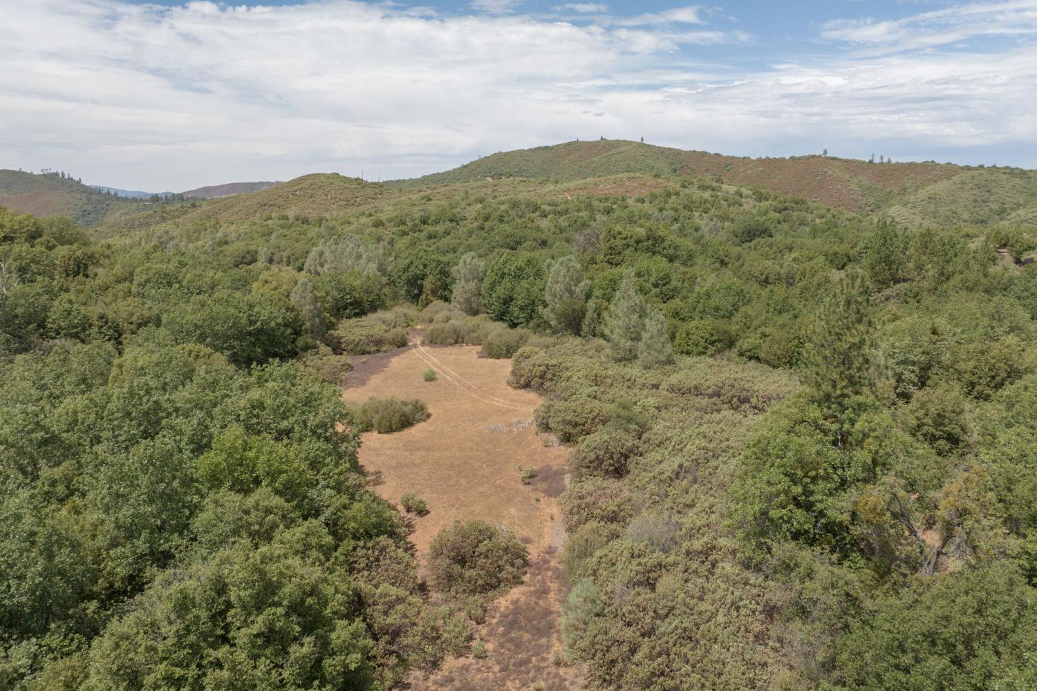 0 Esmeralda, Murphys, California 95247, ,Land,For Sale,Esmeralda,202303206