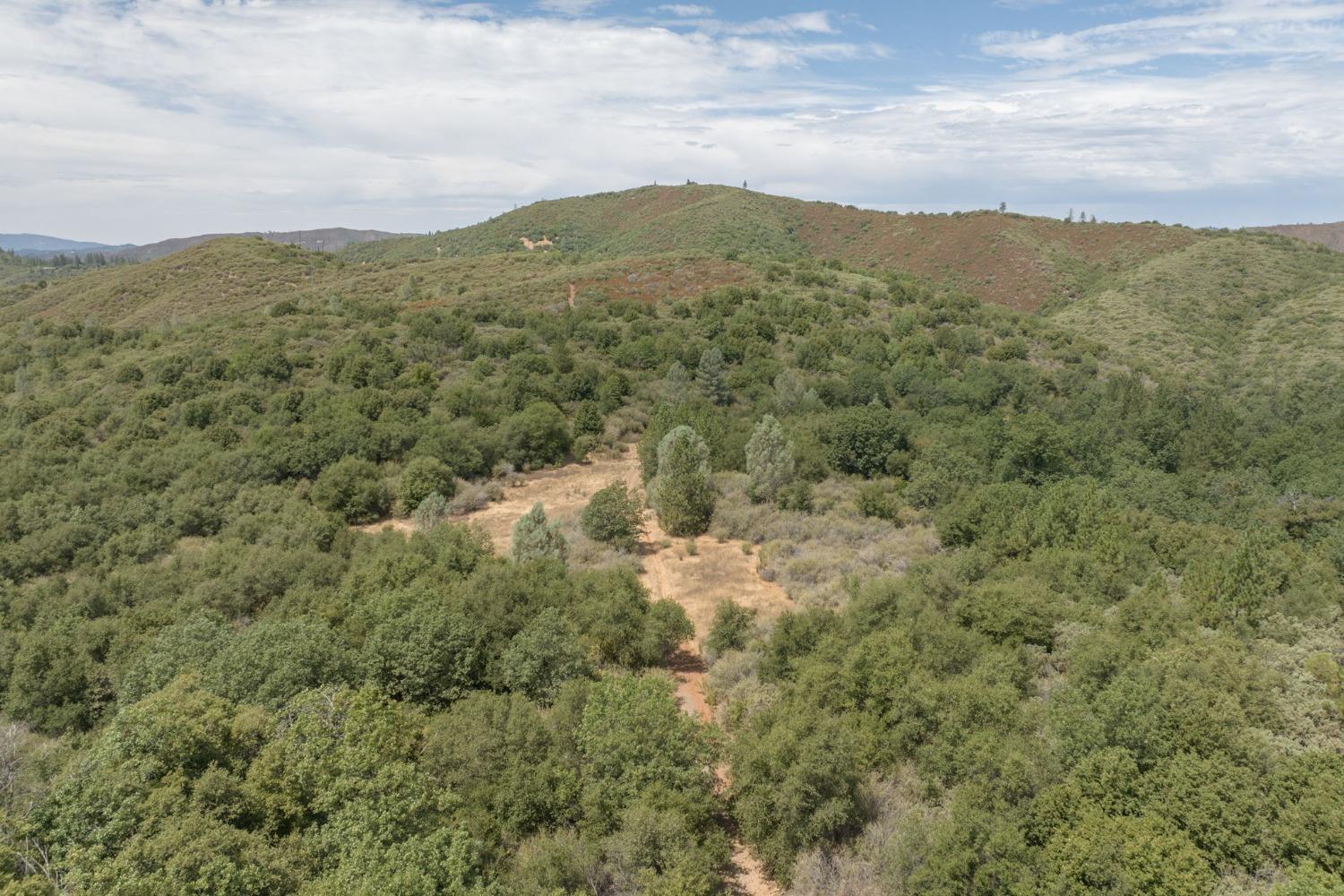 0 Esmeralda, Murphys, California 95247, ,Land,For Sale,Esmeralda,202303206