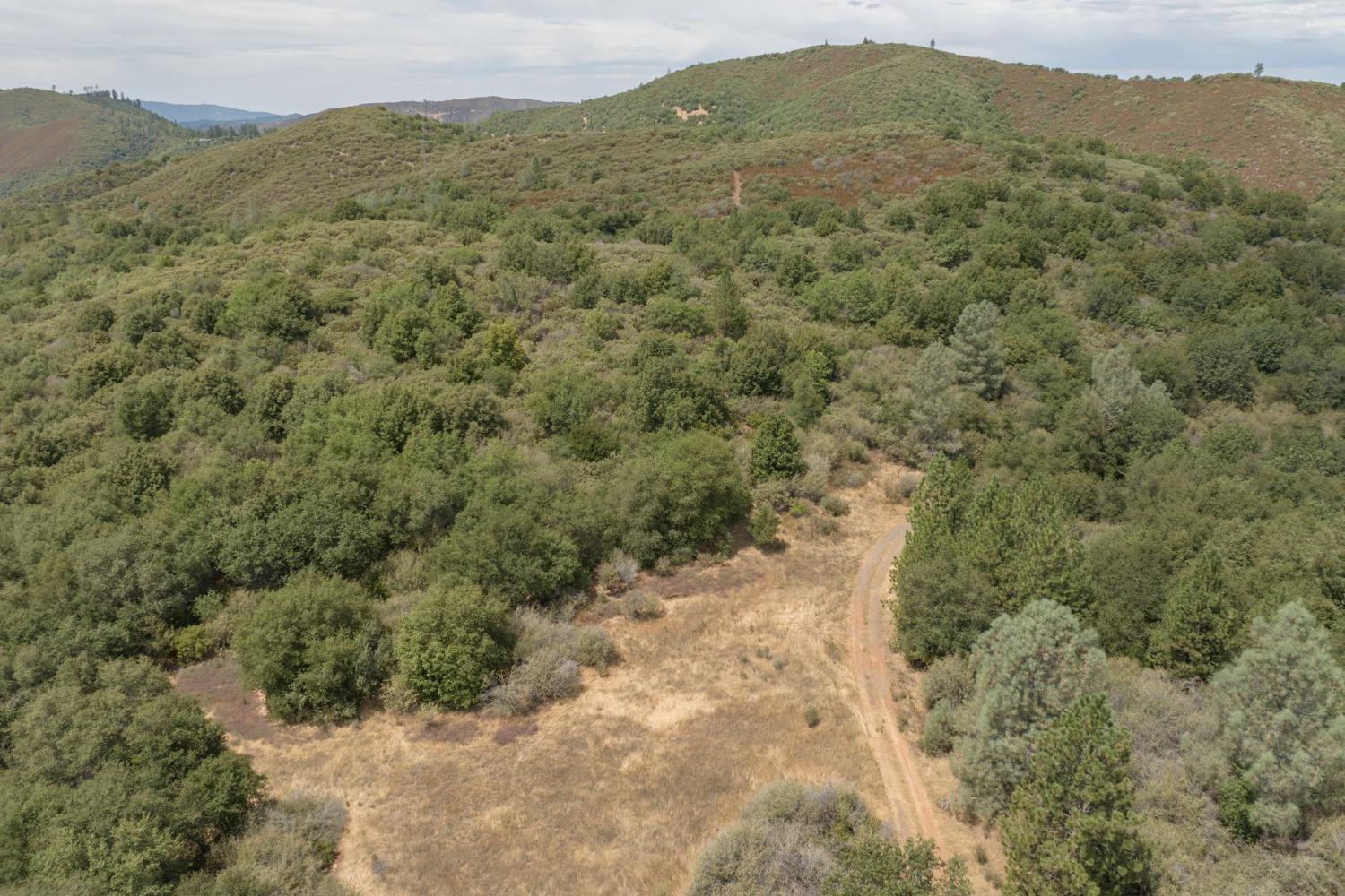 0 Esmeralda, Murphys, California 95247, ,Land,For Sale,Esmeralda,202303206