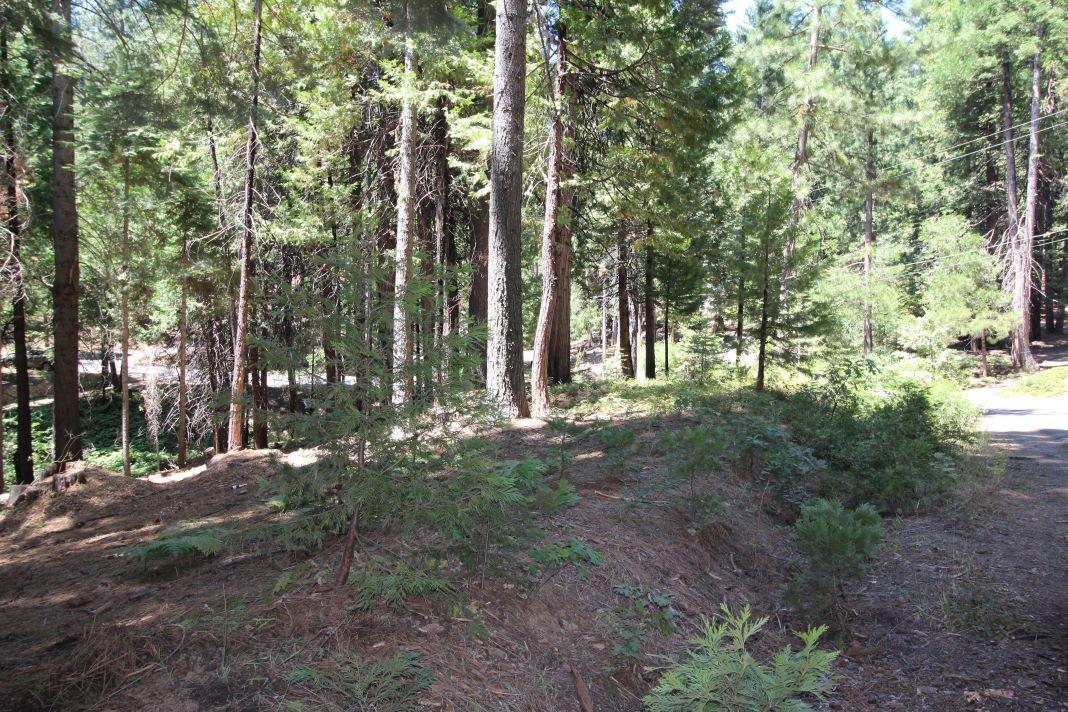 1450 Karock Road, Dorrington, California 95223, ,Land,For Sale,Karock Road,202303158