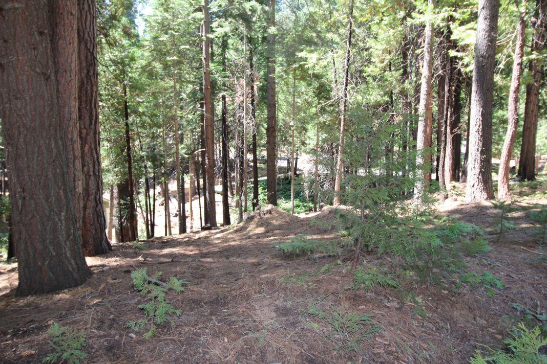 1450 Karock Road, Dorrington, California 95223, ,Land,For Sale,Karock Road,202303158