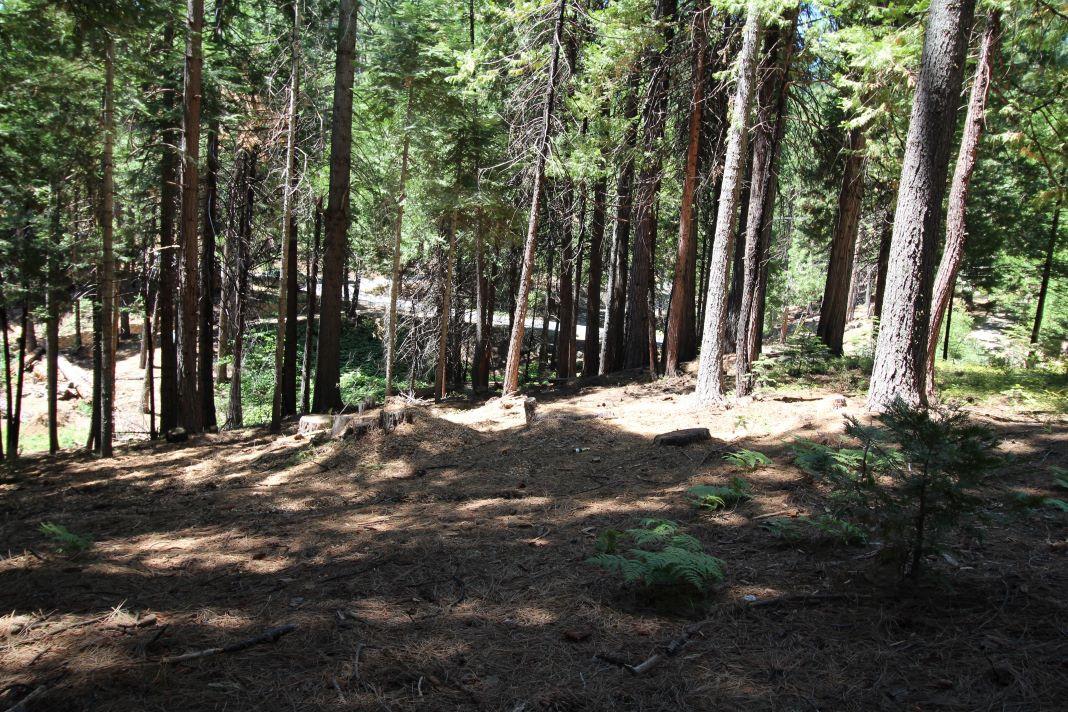 1450 Karock Road, Dorrington, California 95223, ,Land,For Sale,Karock Road,202303158