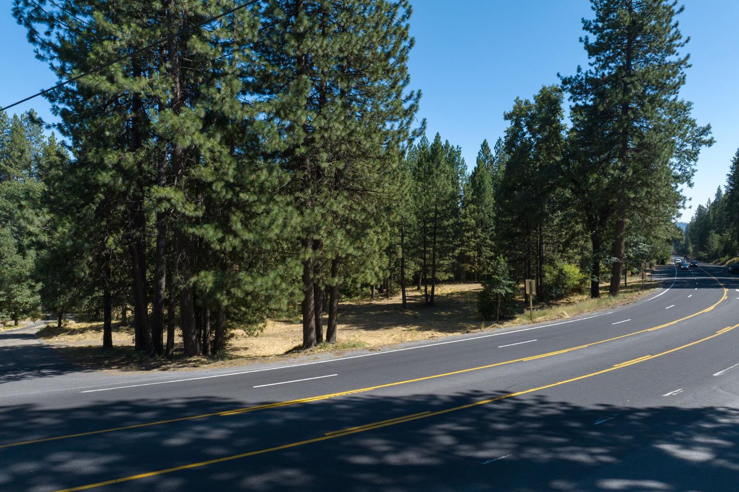 2701 Highway 4, Arnold, California 95223, ,Land,For Sale,Highway 4,202303142