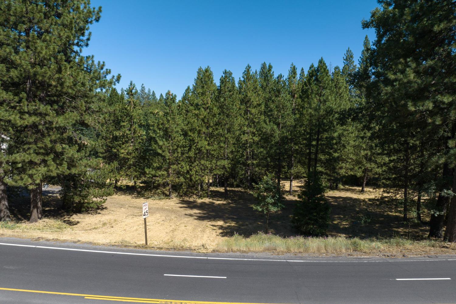 2701 Highway 4, Arnold, California 95223, ,Land,For Sale,Highway 4,202303142