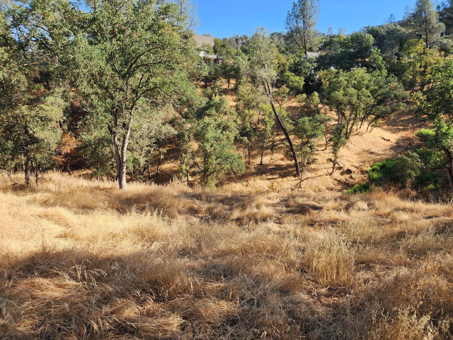 4383 Bonnett Court, Copperopolis, California 95228, ,Land,For Sale,Bonnett,202303165