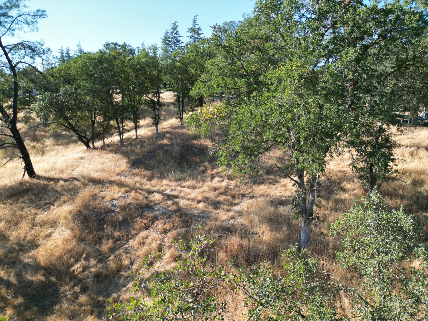 4383 Bonnett Court, Copperopolis, California 95228, ,Land,For Sale,Bonnett,202303165