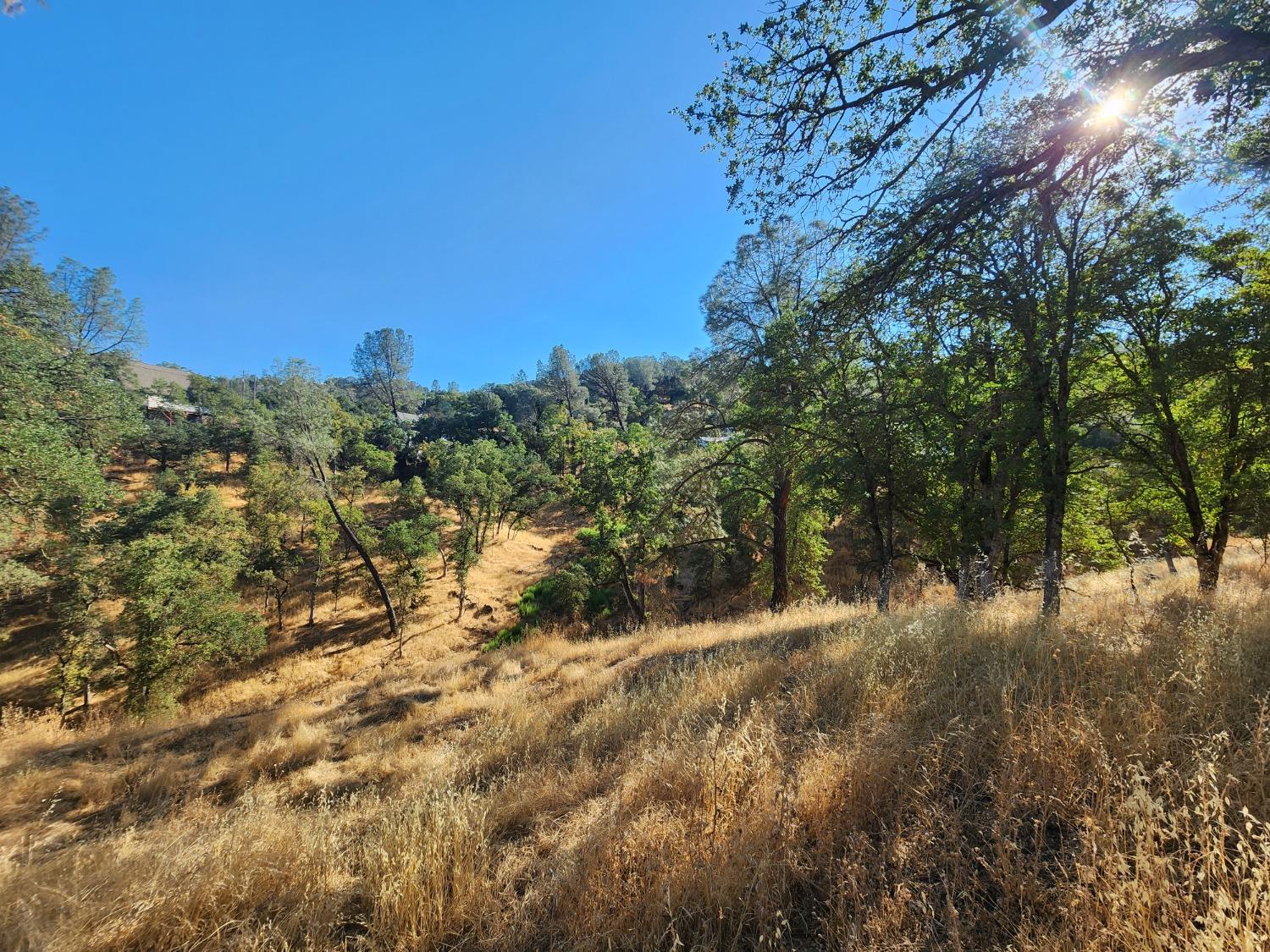 4383 Bonnett Court, Copperopolis, California 95228, ,Land,For Sale,Bonnett,202303165