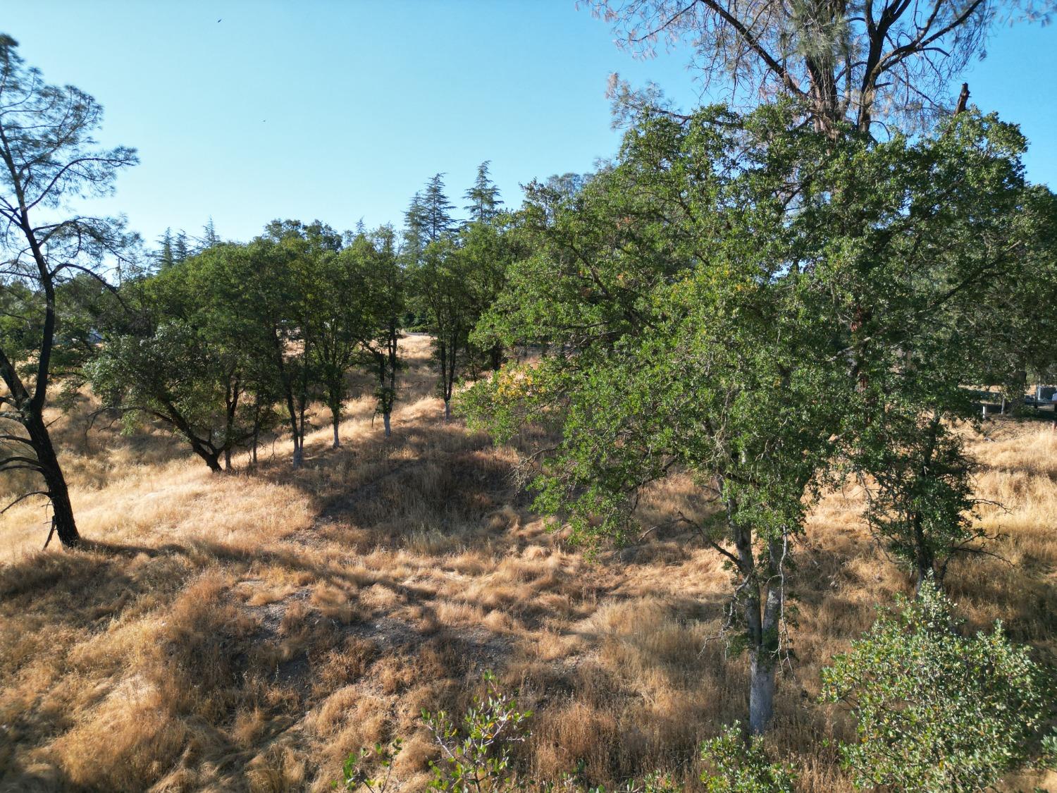 4383 Bonnett Court, Copperopolis, California 95228, ,Land,For Sale,Bonnett,202303165