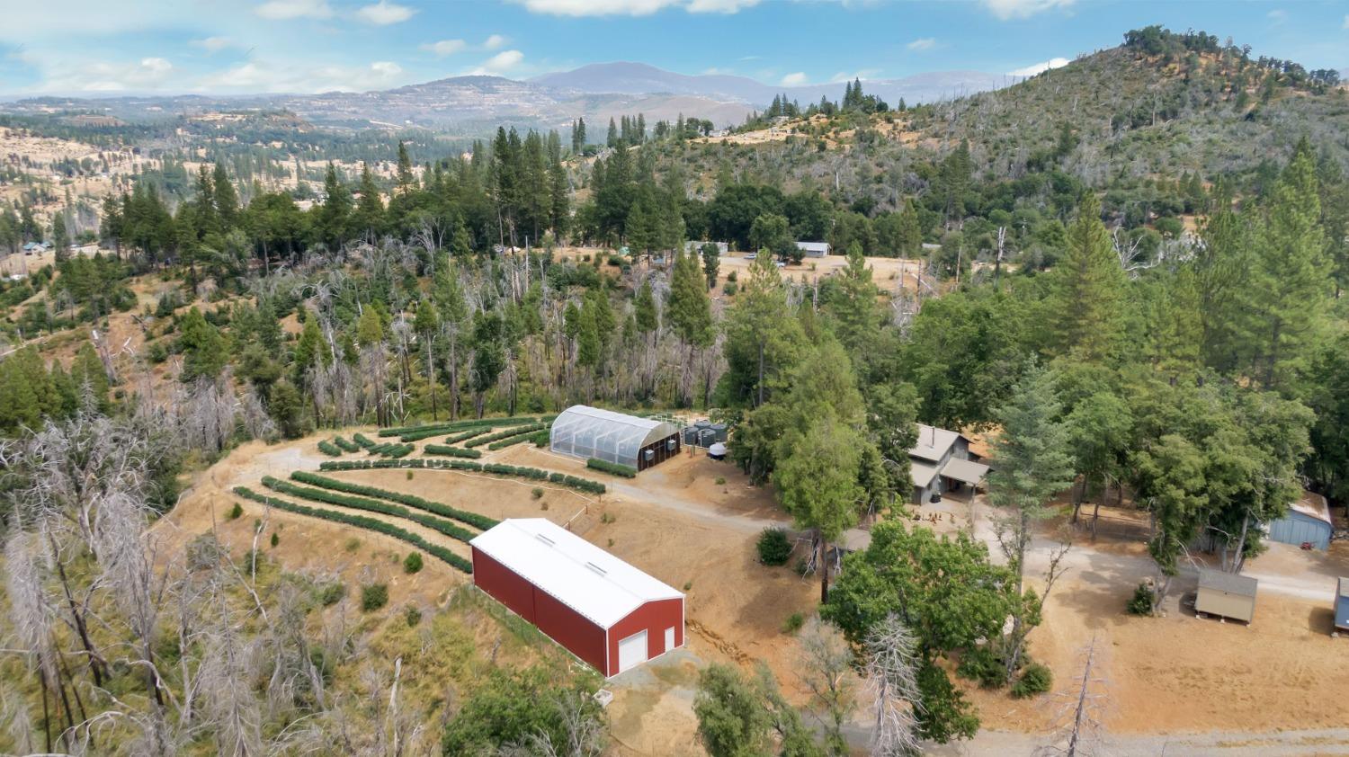 6640 Railroad Flat Road, Mountain Ranch, California 95246, 2 Bedrooms Bedrooms, ,2 BathroomsBathrooms,Residential,For Sale,Railroad Flat,202303205