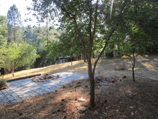 20105 Mitchell Mine Road, Pine Grove, California 95665, 5 Bedrooms Bedrooms, ,2 BathroomsBathrooms,Residential,For Sale,Mitchell Mine,202303247