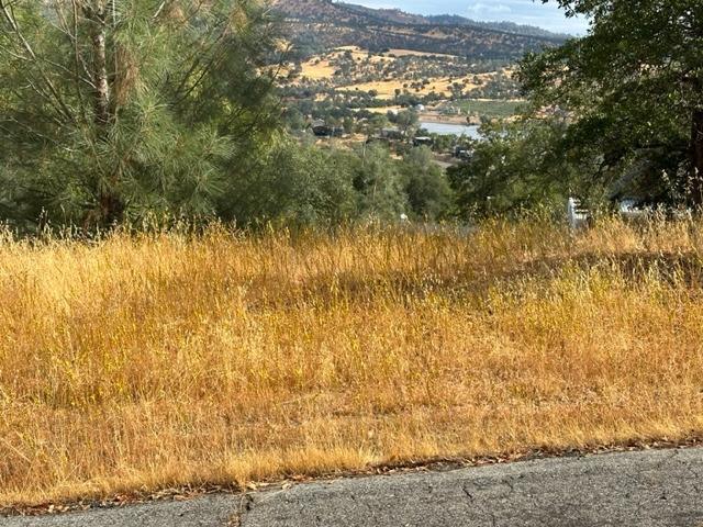 4867 Kiva Court, Copperopolis, California 95228, ,Land,For Sale,Kiva,202303264