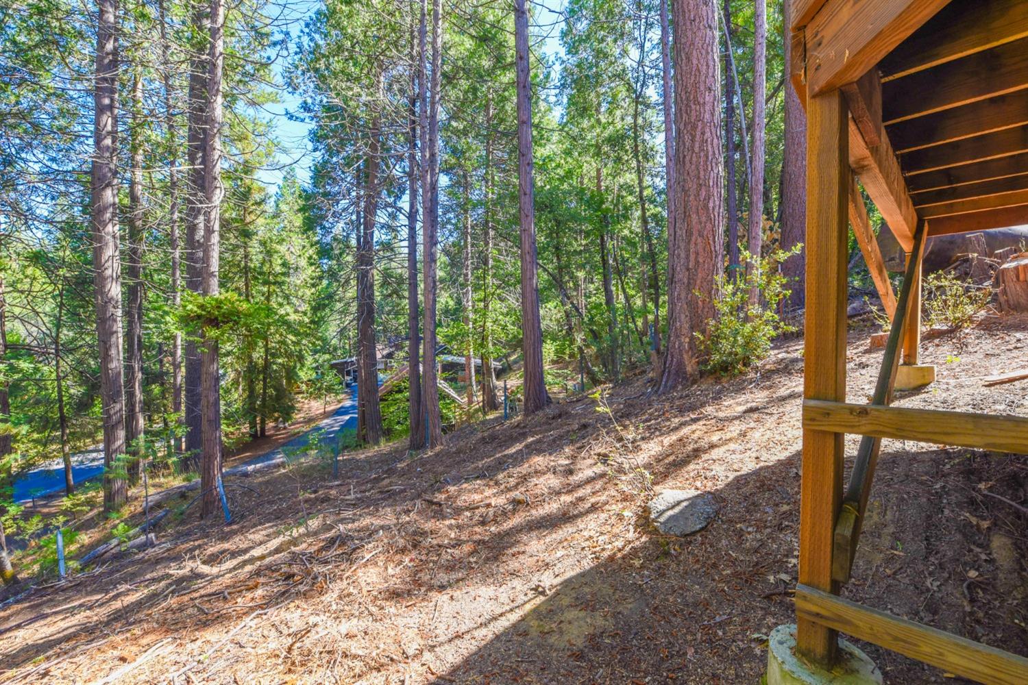 22745 Fork Road, Sonora, California 95370, 3 Bedrooms Bedrooms, ,3 BathroomsBathrooms,Residential,For Sale,Fork,202303267