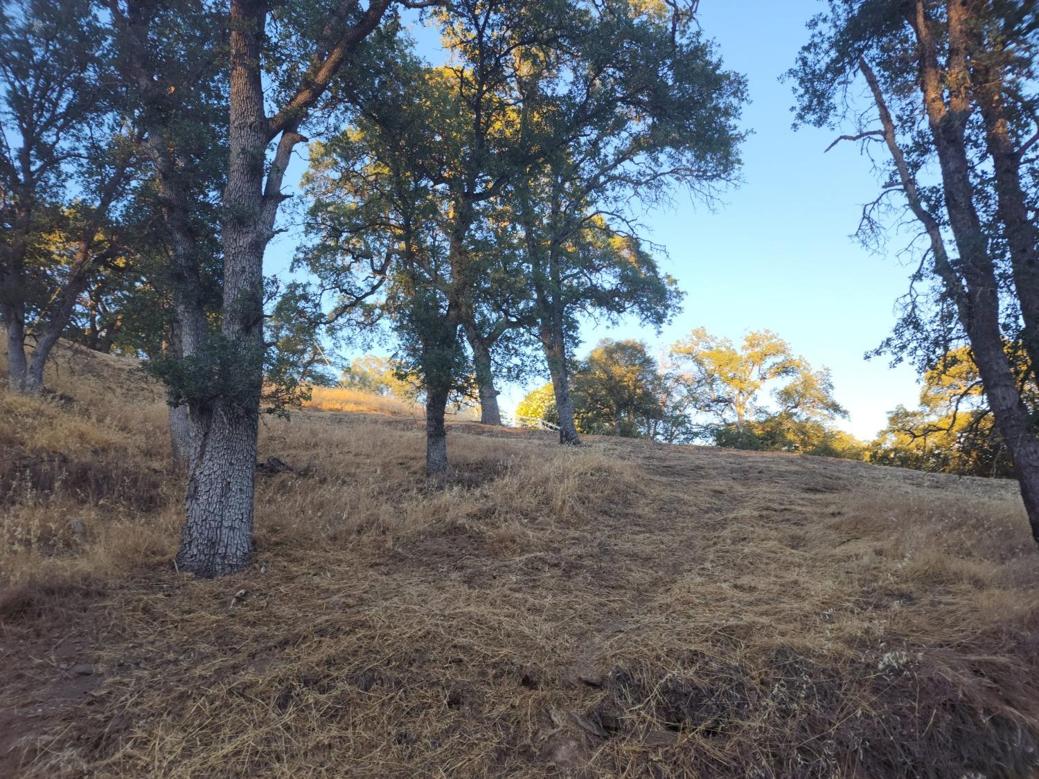 4334 Council Trail, Copperopolis, California 95228, ,Land,For Sale,Council,202303291