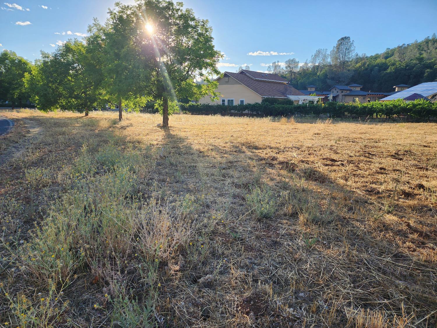 576 Quiet Place, Murphys, California 95247, ,Land,For Sale,Quiet,202303300