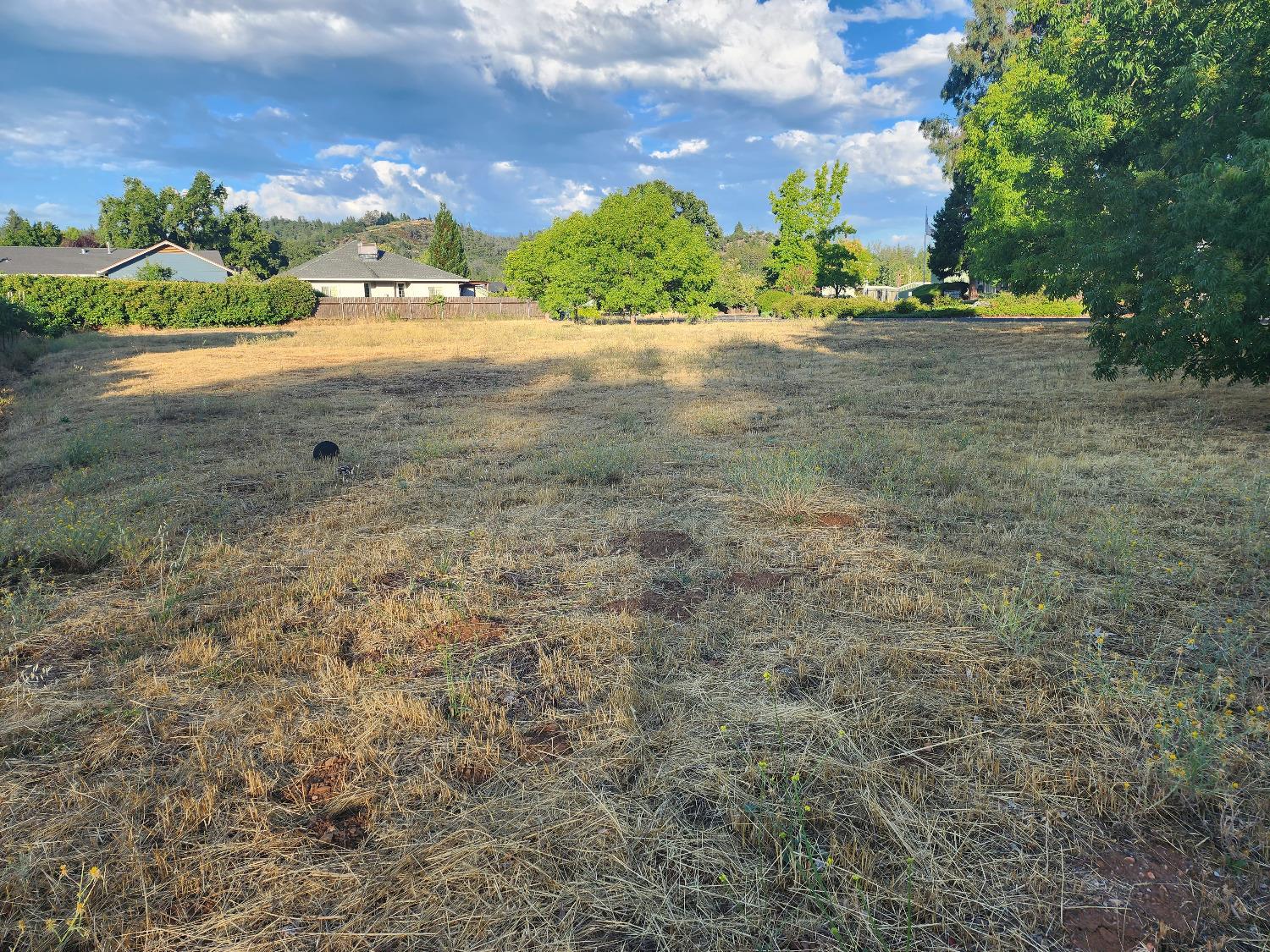 576 Quiet Place, Murphys, California 95247, ,Land,For Sale,Quiet,202303300