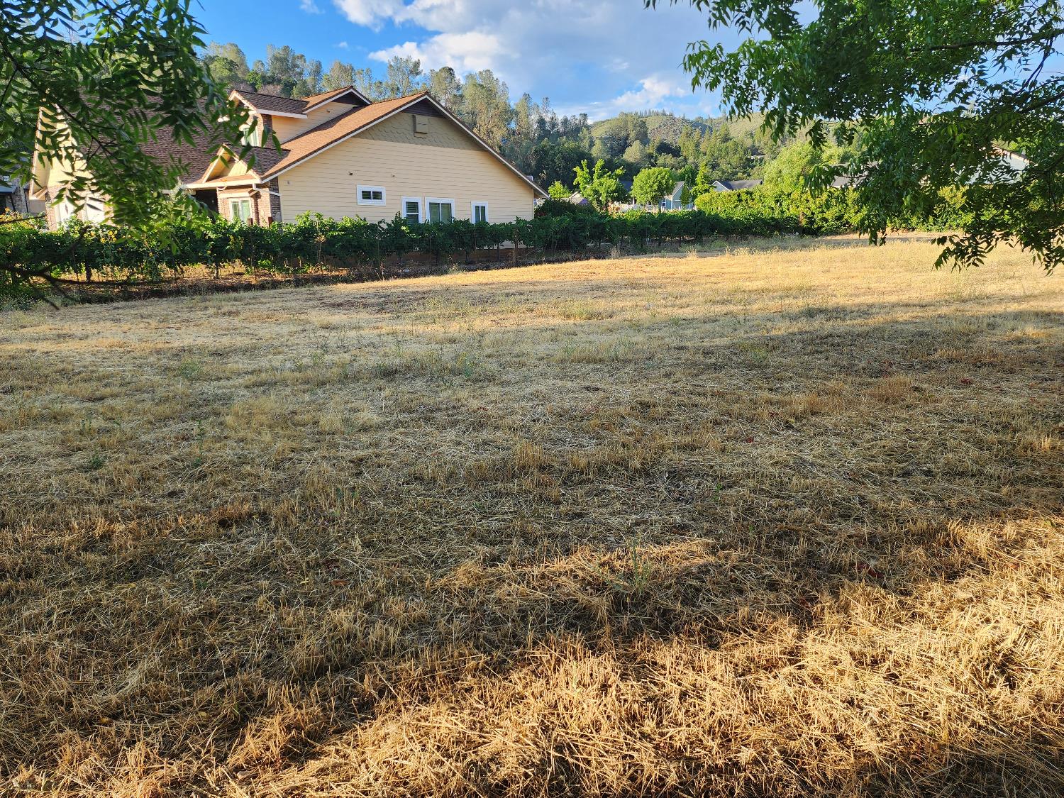 576 Quiet Place, Murphys, California 95247, ,Land,For Sale,Quiet,202303300