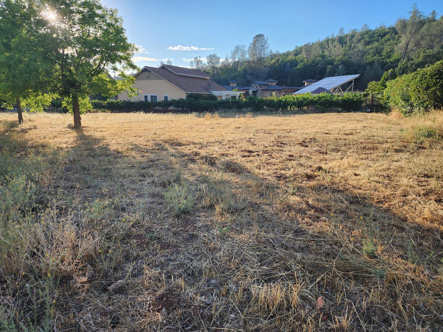 576 Quiet Place, Murphys, California 95247, ,Land,For Sale,Quiet,202303300