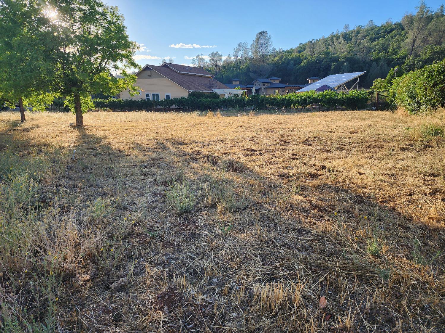 576 Quiet Place, Murphys, California 95247, ,Land,For Sale,Quiet,202303300