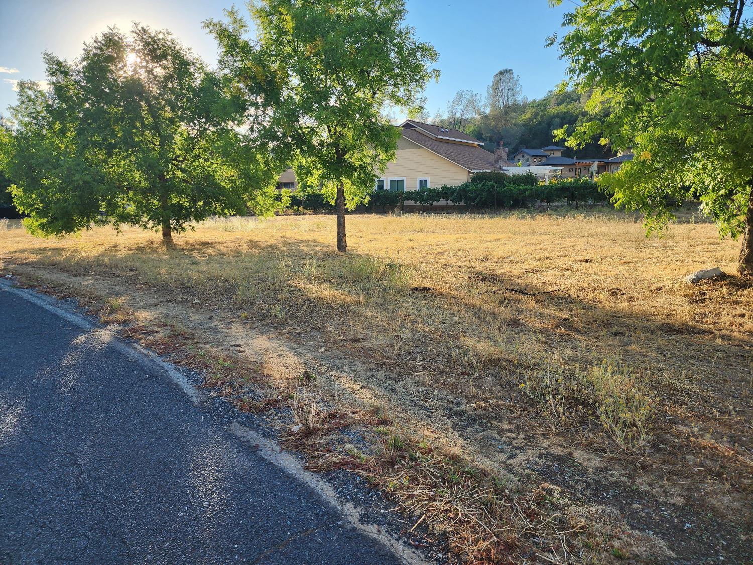 576 Quiet Place, Murphys, California 95247, ,Land,For Sale,Quiet,202303300