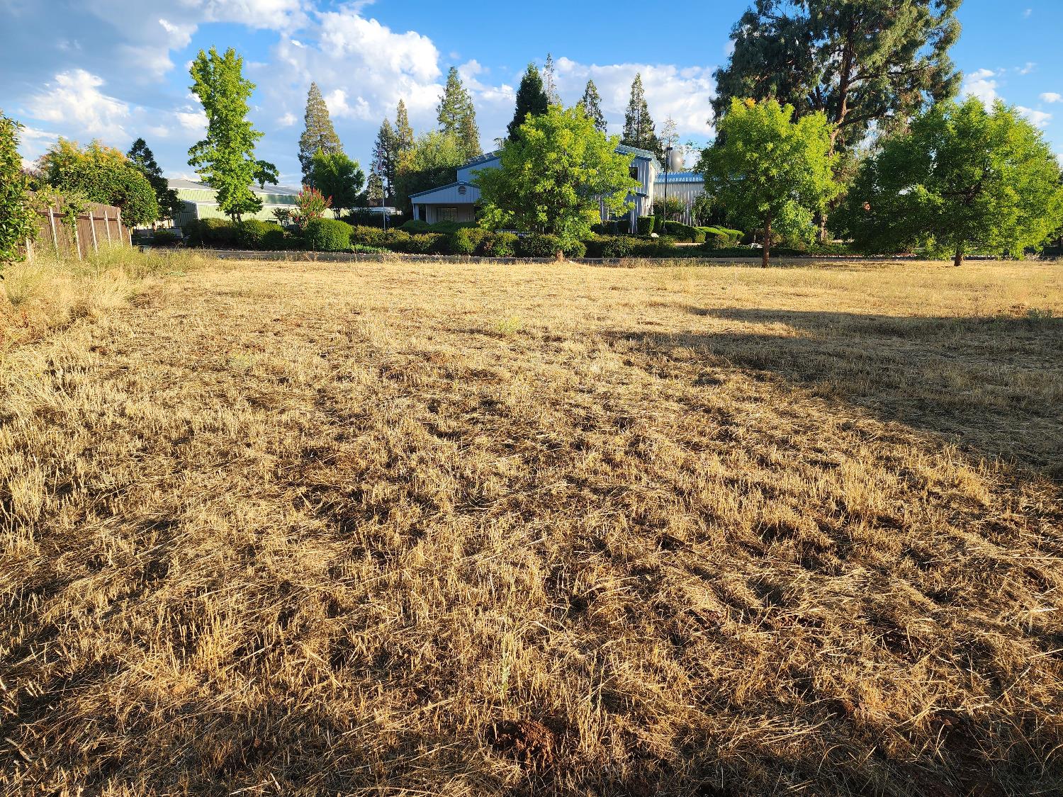 576 Quiet Place, Murphys, California 95247, ,Land,For Sale,Quiet,202303300