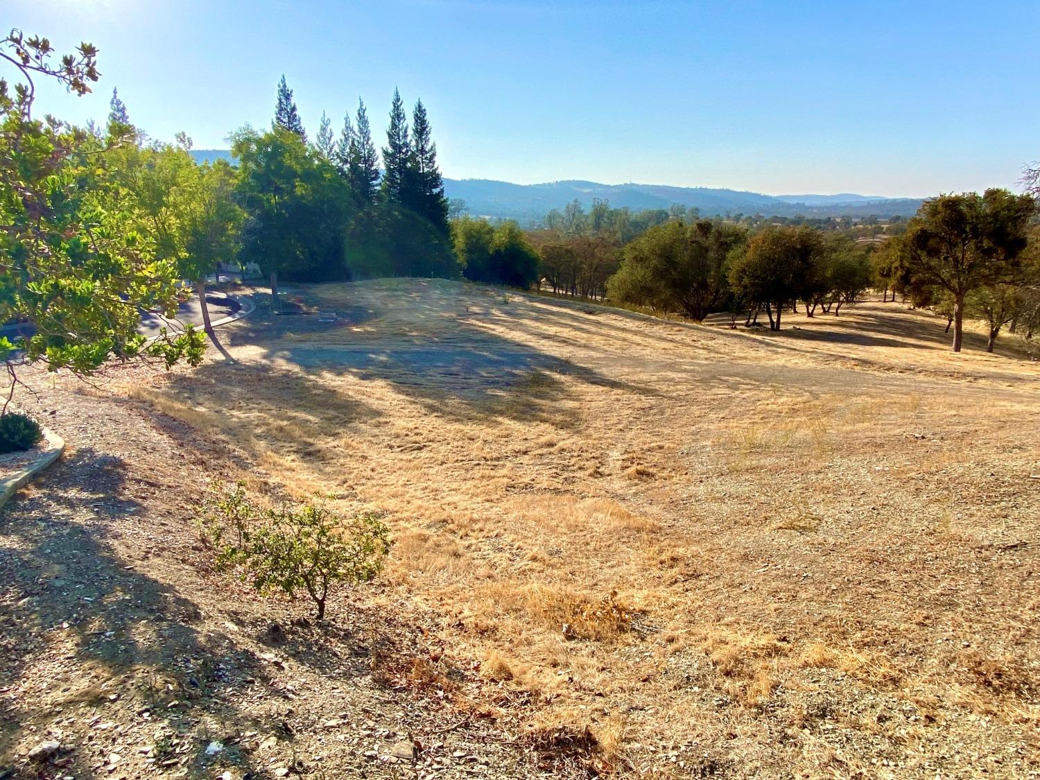 244 Oak Wood Court, Copperopolis, California 95228, ,Land,For Sale,Oak Wood,202303310