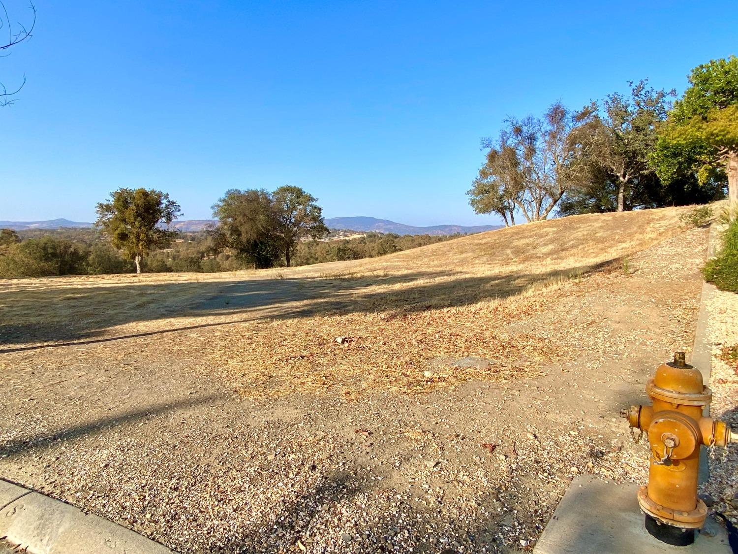 244 Oak Wood Court, Copperopolis, California 95228, ,Land,For Sale,Oak Wood,202303310