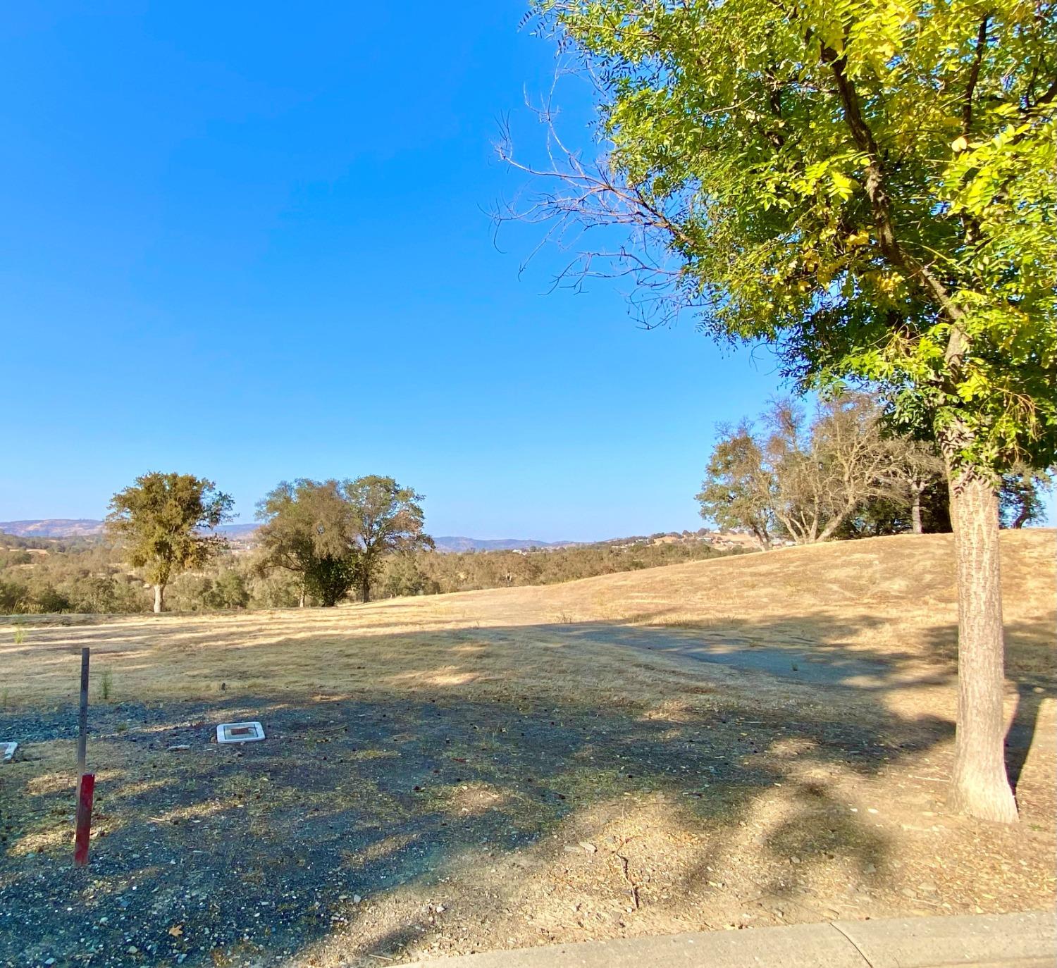 244 Oak Wood Court, Copperopolis, California 95228, ,Land,For Sale,Oak Wood,202303310