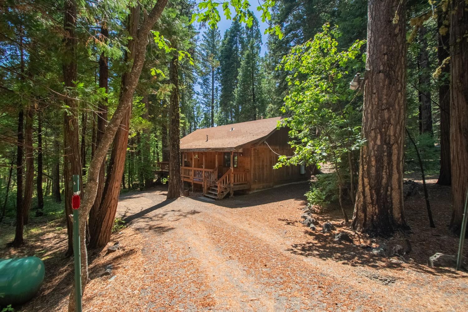 3171 Shoshone Drive, Camp Connell, California 95223, 2 Bedrooms Bedrooms, ,1 BathroomBathrooms,Residential,For Sale,Shoshone,202303321