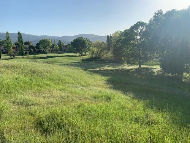 751 Grinding Rock Road, Angels Camp, California 95222, ,Land,For Sale,Grinding Rock,202303323