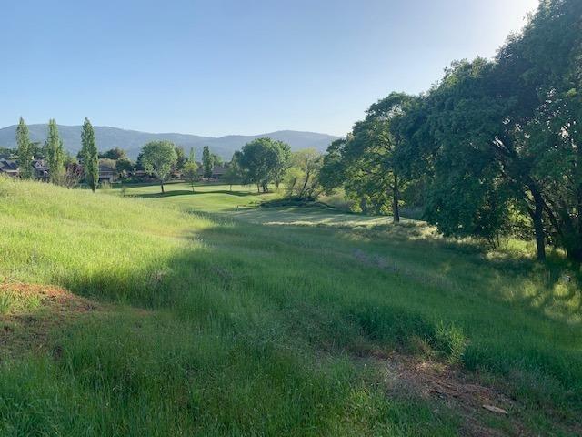 751 Grinding Rock Road, Angels Camp, California 95222, ,Land,For Sale,Grinding Rock,202303323